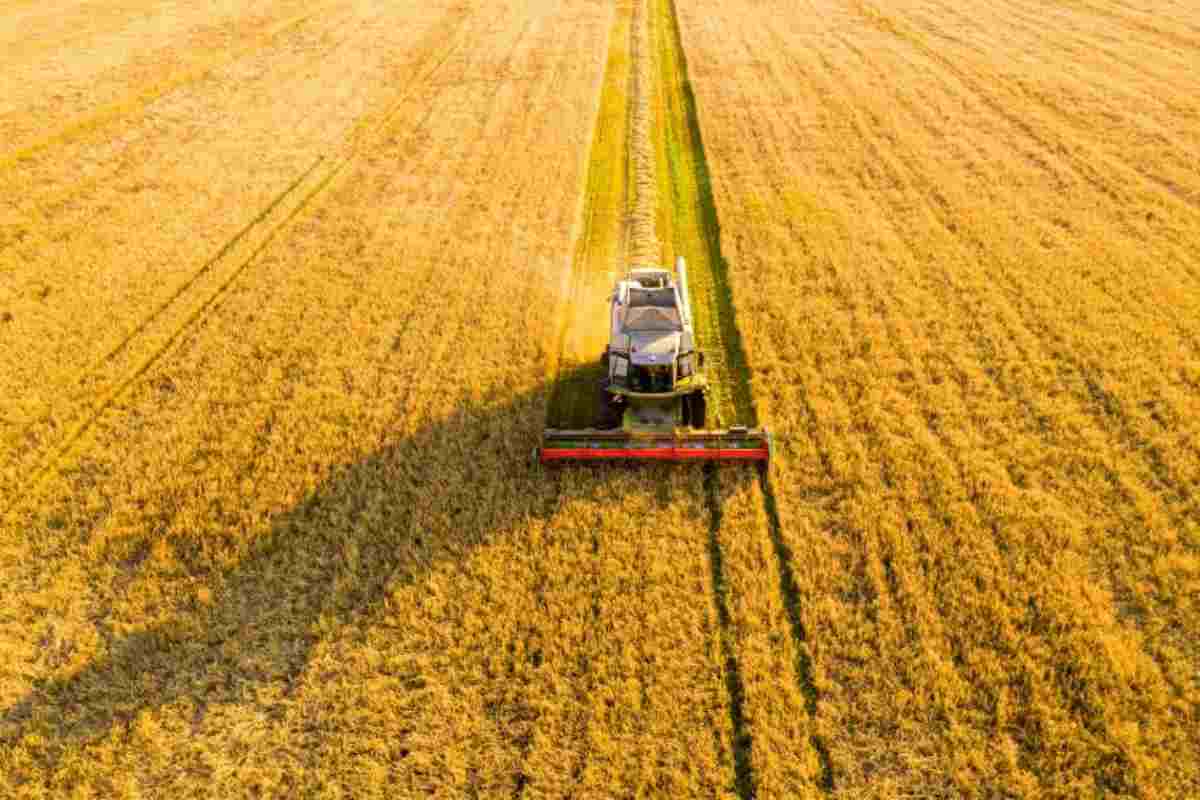 Bonus giovani agricoltori