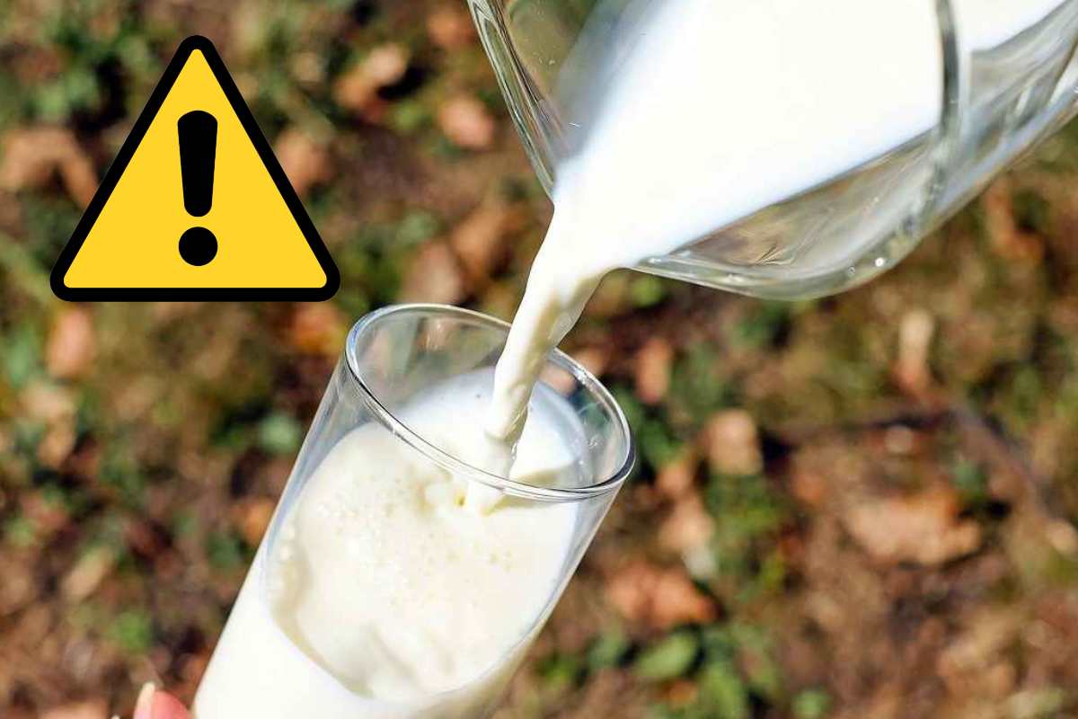 Latte e pericoli