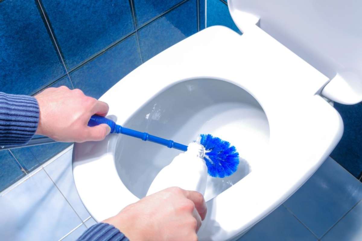 Pulizia fondo WC
