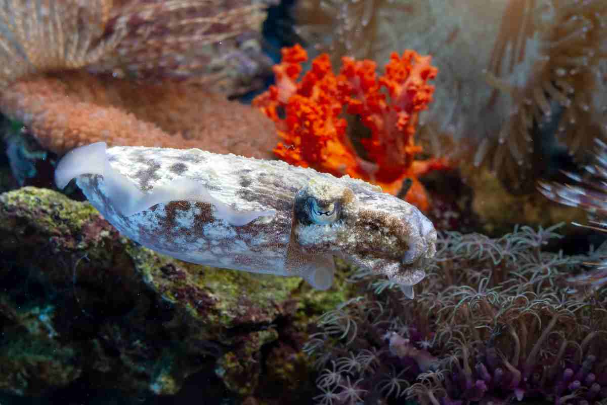 un paradiso ancora poco conosciuto