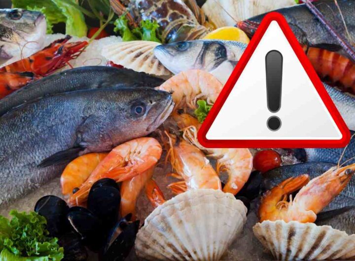 allarme salute: butta questi frutti di mare possono essere radioattivi