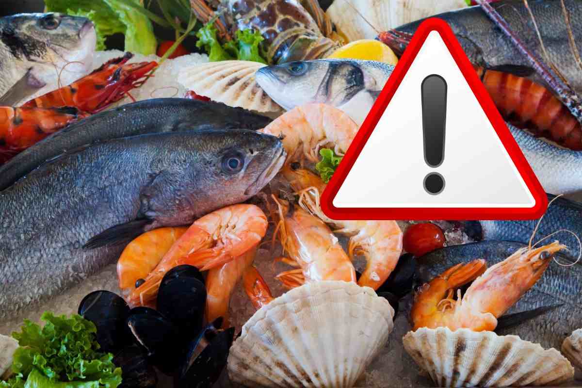 allarme salute: butta questi frutti di mare possono essere radioattivi