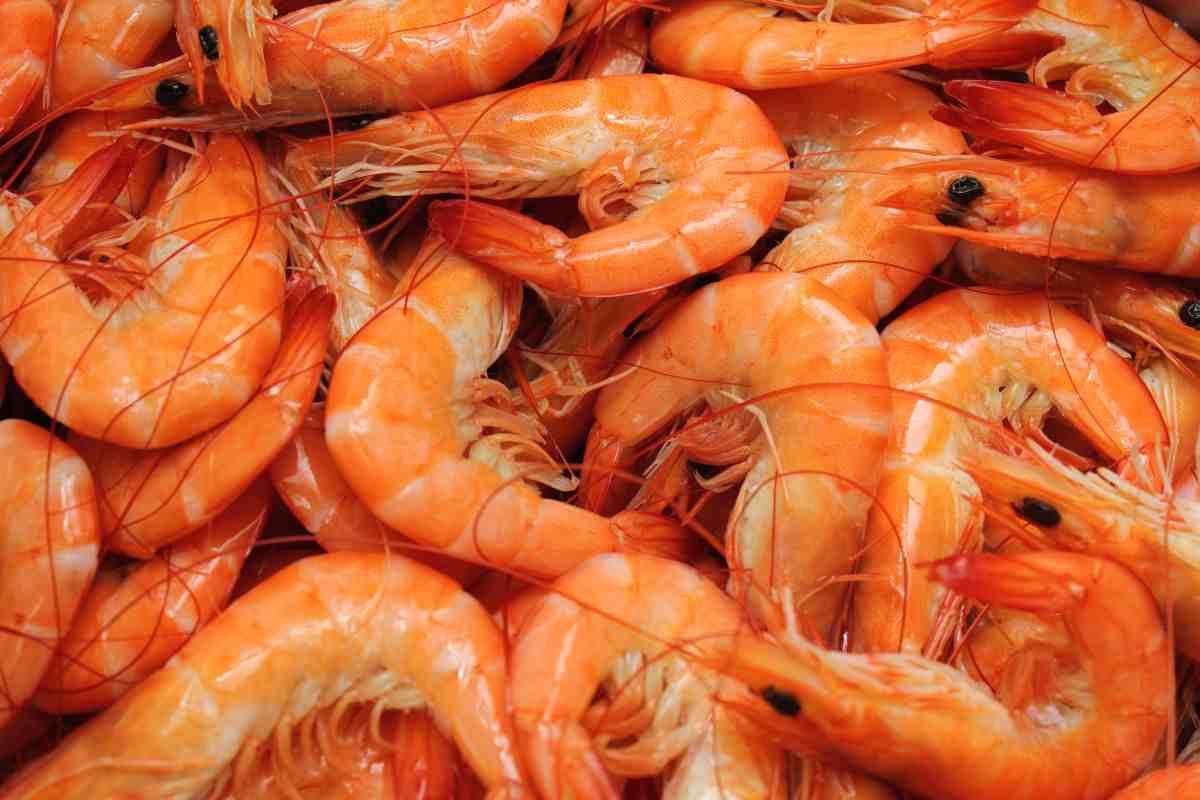 allarme salute: butta questi frutti di mare possono essere radioattivi