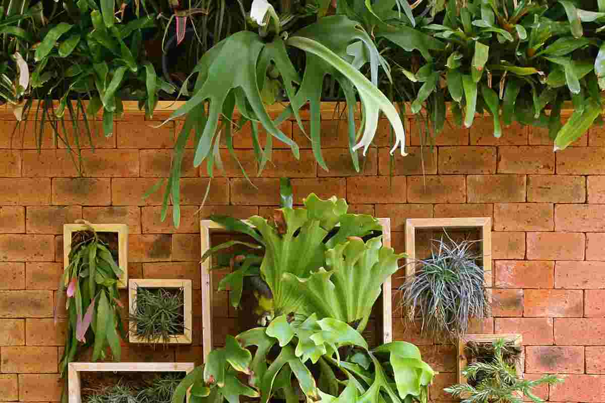 arreda casa con un tocco di verde grazie al giardino verticale