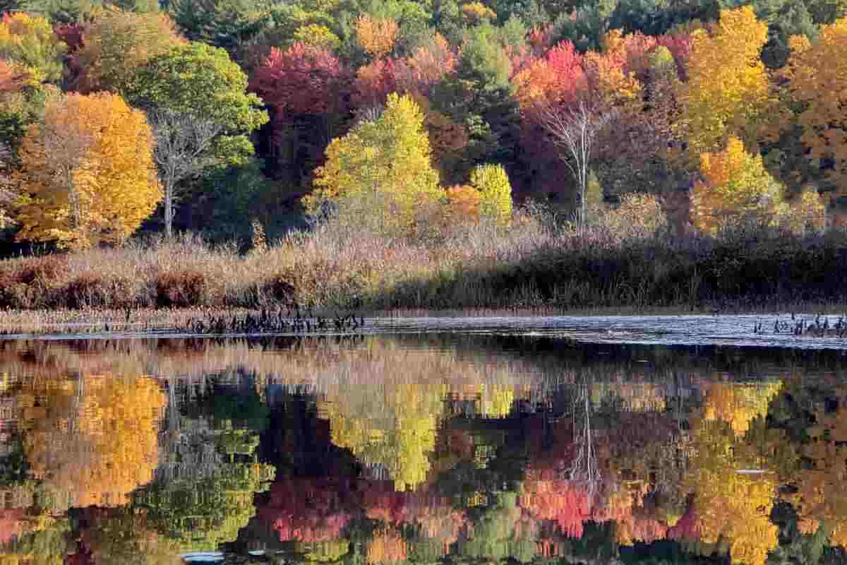 Tra relax e foliage, questa è la meta autunnale più ambita al mondo
