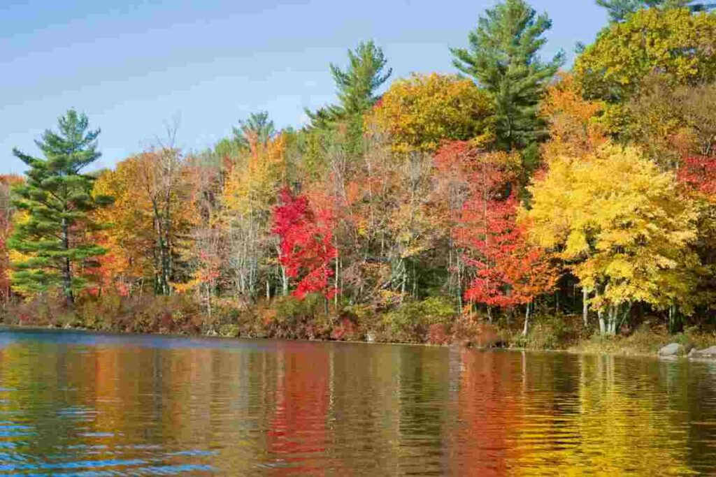 Tra relax e foliage, questa è la meta autunnale più ambita al mondo, tutti i dettagli