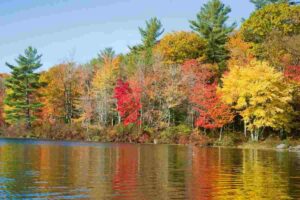 Tra relax e foliage, questa è la meta autunnale più ambita al mondo, tutti i dettagli