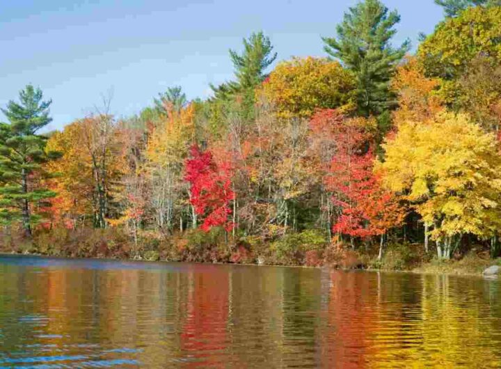 Tra relax e foliage, questa è la meta autunnale più ambita al mondo, tutti i dettagli