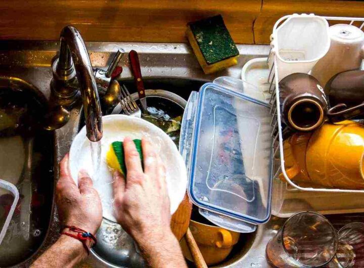 Sbagliamo tutti e i piatti diventano un covo di germi: i dettagli