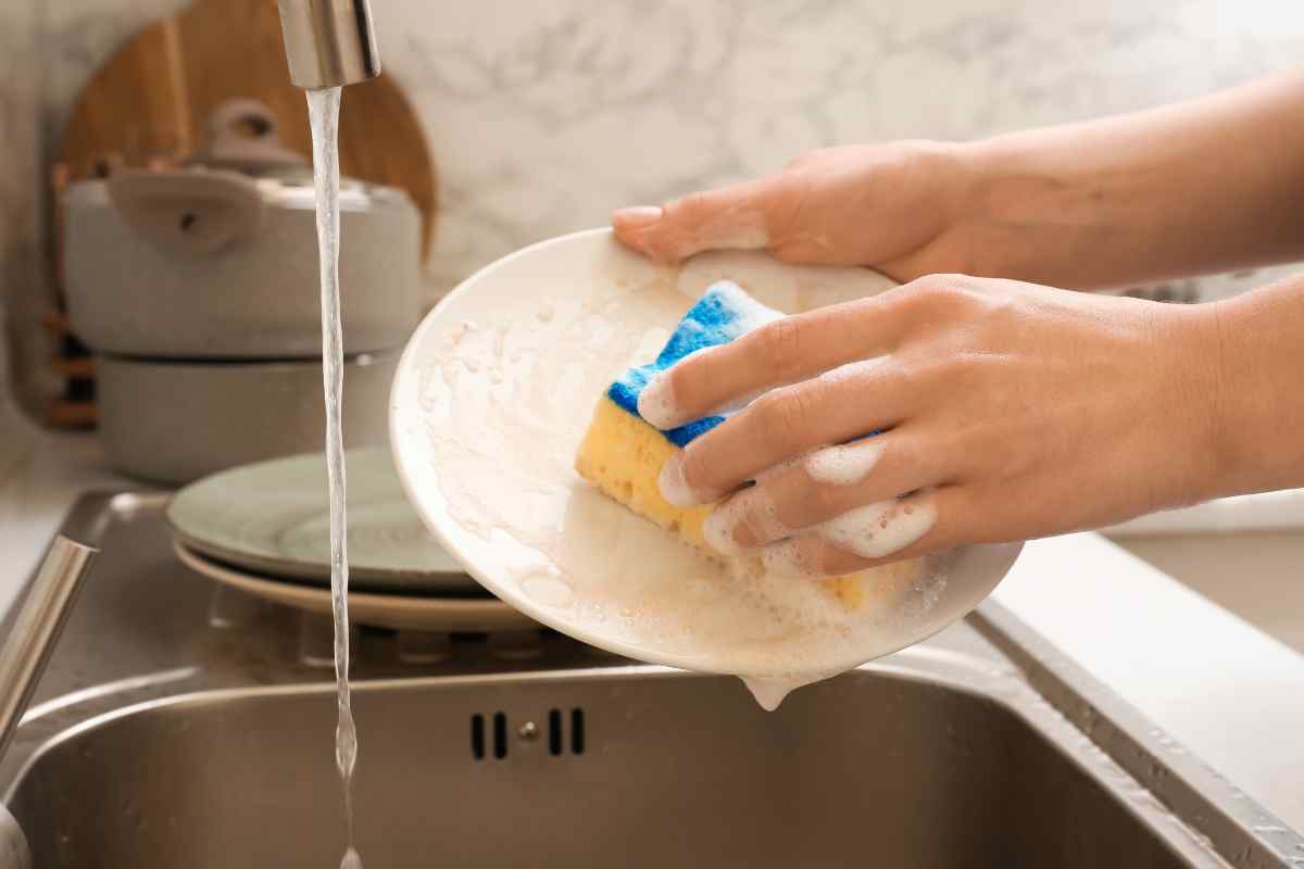 Sbagliamo tutti e i piatti diventano un covo di germi: i dettagli le curiosità