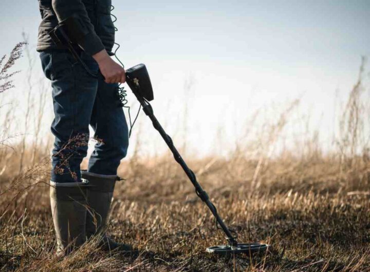 metal detector